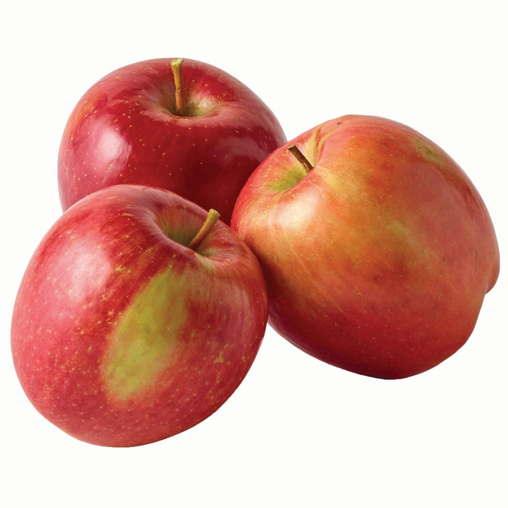Apple - Fuji Large Size - Case (64 Apples per case) (jit) - Pantree