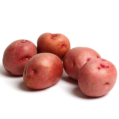 Potatoes Red - Case (50 lb Bag) (jit) - Pantree