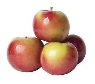 Apple - McIntosh (6 Apples Per Bag) (jit) - Pantree