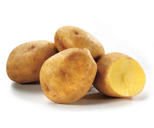 Potatoes Yukon Gold - Case (50 lbs Per Case) (jit) - Pantree