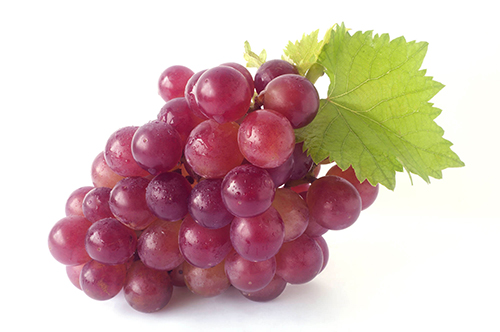 Grapes - Red (2lb bag) (jit) - Pantree