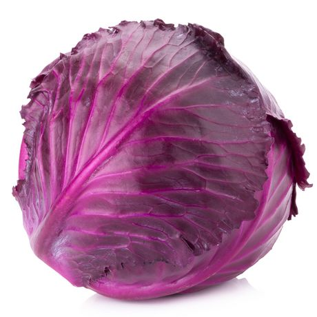 Red Cabbage (1 Head) (jit) - Pantree