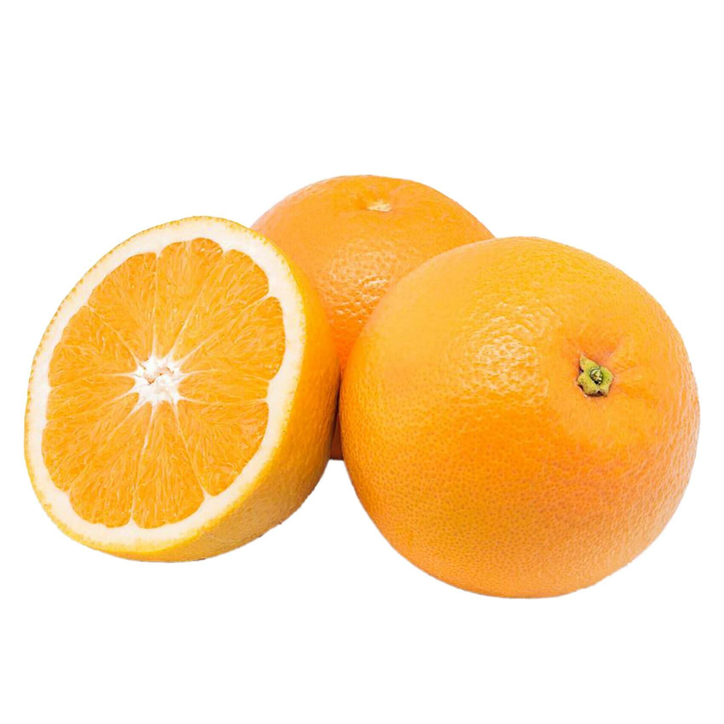 Oranges Valencia - Case (113 Oranges) (jit) - Pantree