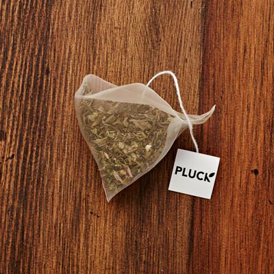 Pluck - Harvest Mint (30 bags) - Pantree