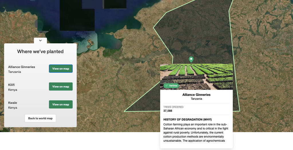 Pantree’s Commitment to Sustainability: 200,000 Trees and Counting!