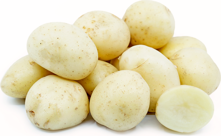 Potatoes White - (50 lb Bag) (jit) - Pantree