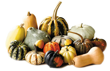 Decorative Use - Gourds (5 lbs) (jit) - Pantree