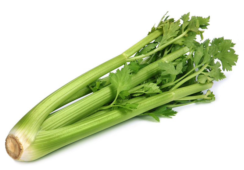 Celery (24 Stalks Per Case) (jit) - Pantree