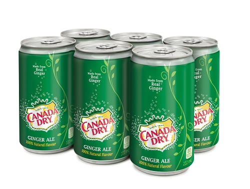 Canada Dry Ginger Ale Mini Cans (24-222 mL) - Pantree