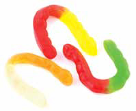 Bulk Wild Fruit 4” Gummi Worms (9.07 kg Box) (jit) - Pantree