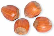 Bulk Filberts in Shell (Jumbo) (22.65 kg Box) (jit) - Pantree