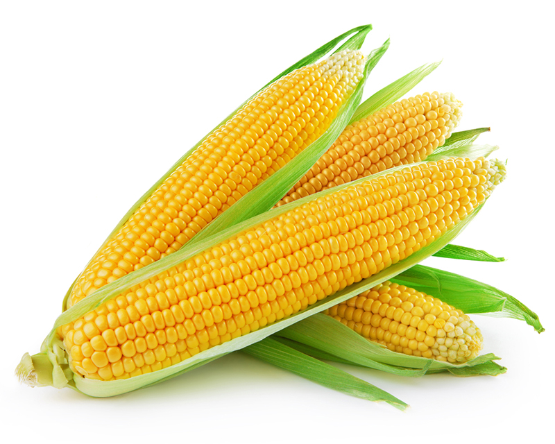 Corn (4 Pieces) (jit) - Pantree