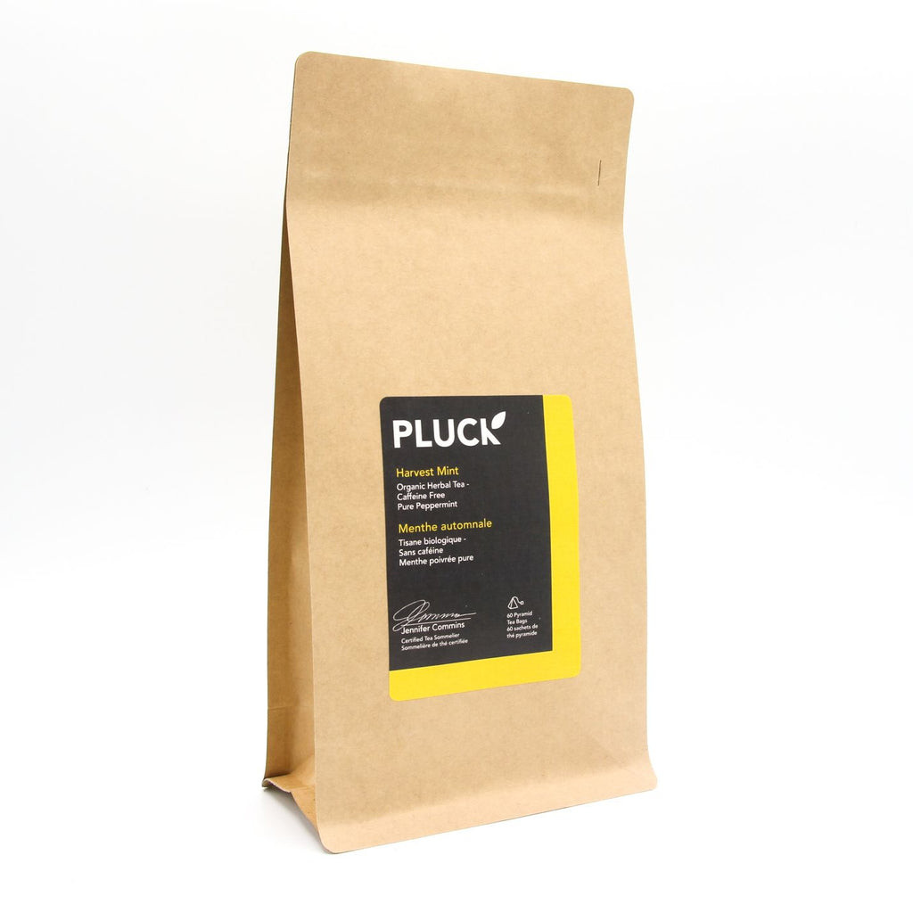 Pluck - LARGE BAG - Harvest Mint (60 bags) - Pantree