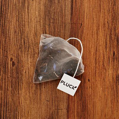 Pluck - Earl Grey Cream (30 bags) - Pantree